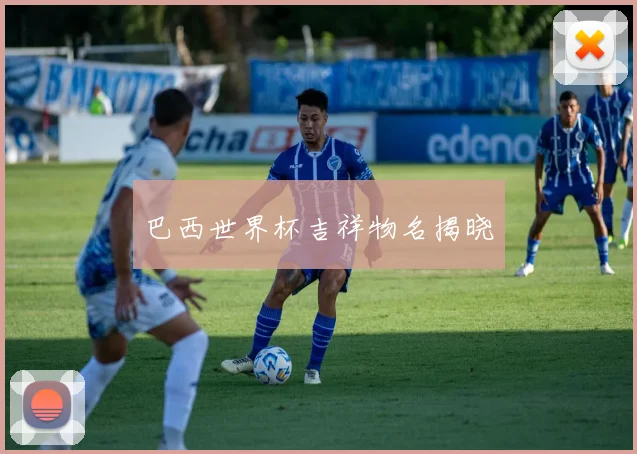 巴西世界杯吉祥物名揭晓