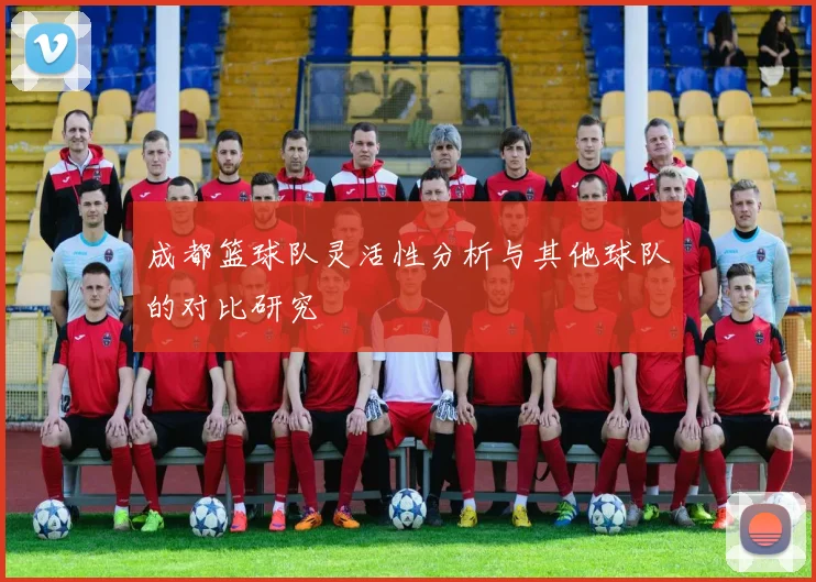 成都篮球队灵活性分析与其他球队的对比研究